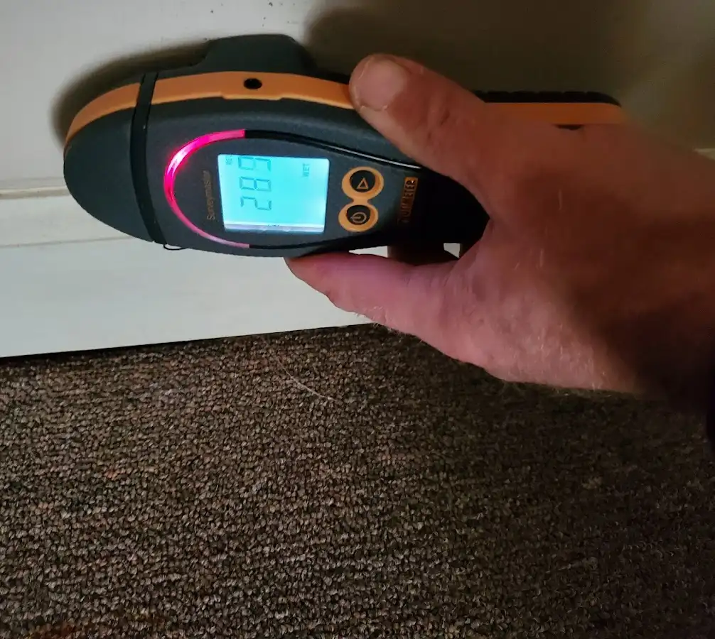 Moisture detection at baseboard during Sewage Cleanup & Sanitation in Mashpee